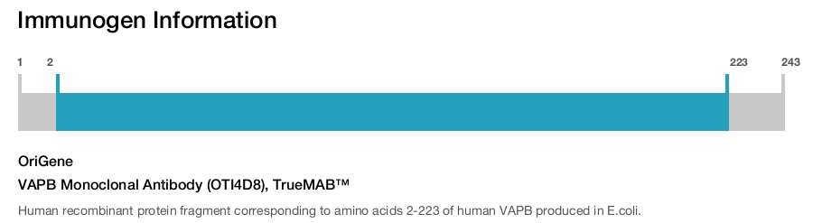VAPB Monoclonal Antibody (OTI4D8), TrueMAB&trade;