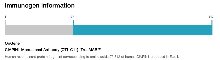 CIAPIN1 Monoclonal Antibody (OTI1C11), TrueMAB&trade;