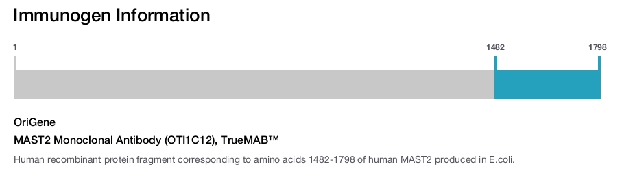 MAST2 Monoclonal Antibody (OTI1C12), TrueMAB&trade;