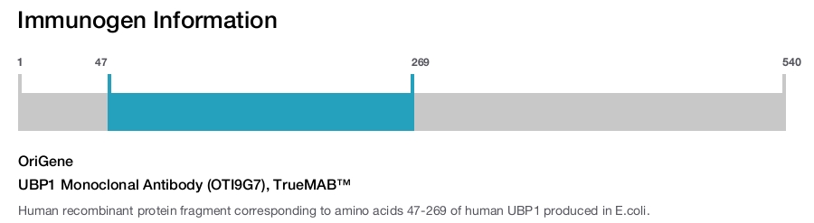 UBP1 Monoclonal Antibody (OTI9G7), TrueMAB&trade;
