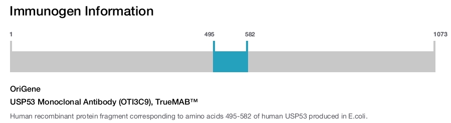 USP53 Monoclonal Antibody (OTI3C9), TrueMAB&trade;