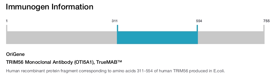 TRIM56 Monoclonal Antibody (OTI5A1), TrueMAB&trade;