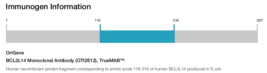 BCL2L14 Monoclonal Antibody (OTI2E12), TrueMAB&trade;