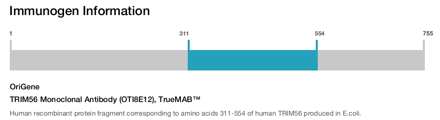 TRIM56 Monoclonal Antibody (OTI8E12), TrueMAB&trade;