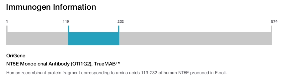 NT5E Monoclonal Antibody (OTI1G2), TrueMAB&trade;