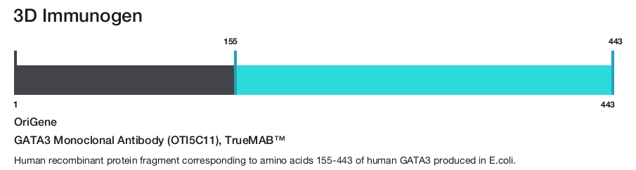 GATA3 Monoclonal Antibody (OTI5C11), TrueMAB&trade;