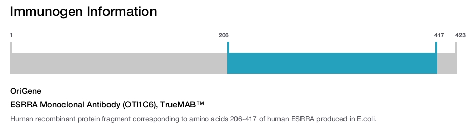 ESRRA Monoclonal Antibody (OTI1C6), TrueMAB&trade;