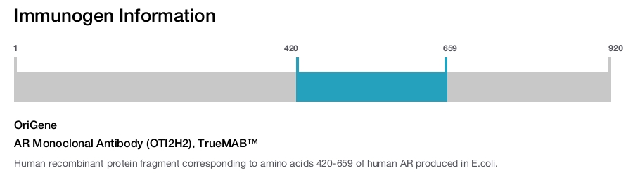 AR Monoclonal Antibody (OTI2H2), TrueMAB&trade;