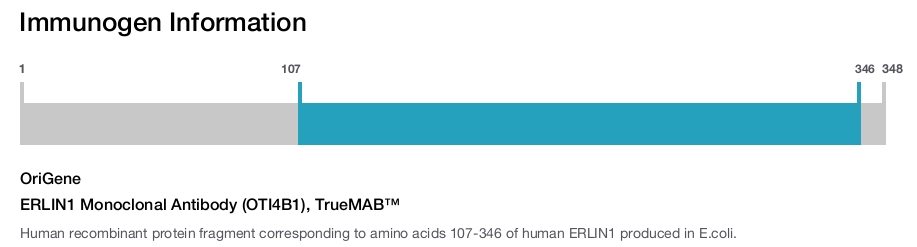 ERLIN1 Monoclonal Antibody (OTI4B1), TrueMAB&trade;