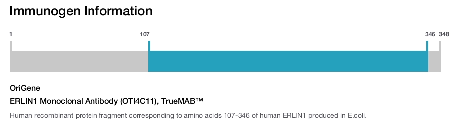 ERLIN1 Monoclonal Antibody (OTI4C11), TrueMAB&trade;