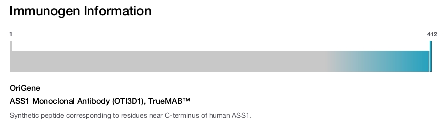 ASS1 Monoclonal Antibody (OTI3D1), TrueMAB&trade;