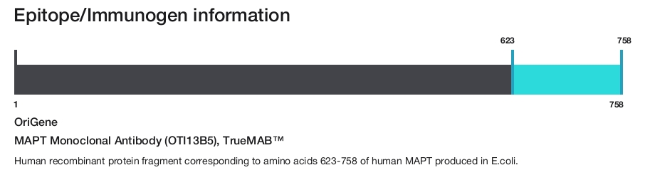 MAPT Monoclonal Antibody (OTI13B5), TrueMAB&trade;