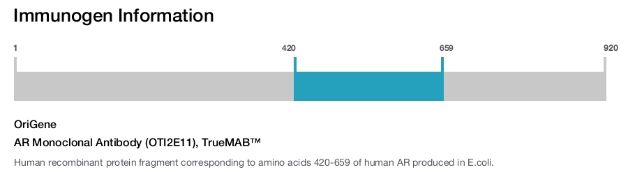 AR Monoclonal Antibody (OTI2E11), TrueMAB&trade;