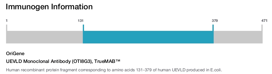 UEVLD Monoclonal Antibody (OTI8G3), TrueMAB&trade;