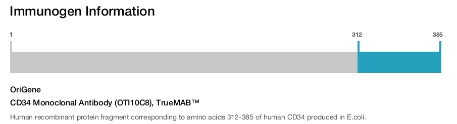 CD34 Monoclonal Antibody (OTI10C8), TrueMAB&trade;