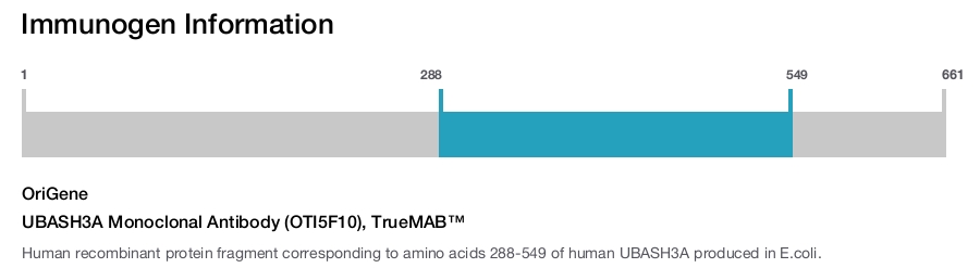 UBASH3A Monoclonal Antibody (OTI5F10), TrueMAB&trade;