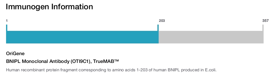 BNIPL Monoclonal Antibody (OTI9C1), TrueMAB&trade;