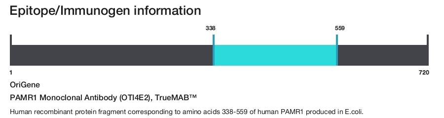 PAMR1 Monoclonal Antibody (OTI4E2), TrueMAB&trade;