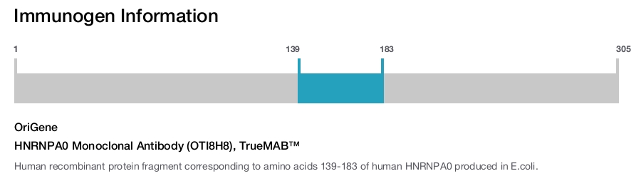 HNRNPA0 Monoclonal Antibody (OTI8H8), TrueMAB&trade;