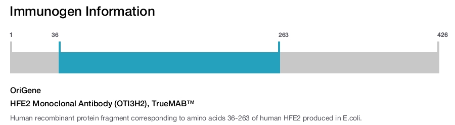 HFE2 Monoclonal Antibody (OTI3H2), TrueMAB&trade;