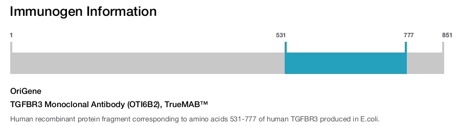 TGFBR3 Monoclonal Antibody (OTI6B2), TrueMAB&trade;