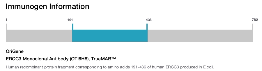 ERCC3 Monoclonal Antibody (OTI6H8), TrueMAB&trade;
