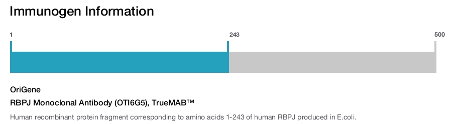 RBPJ Monoclonal Antibody (OTI6G5), TrueMAB&trade;