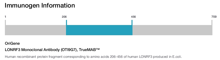 LONRF3 Monoclonal Antibody (OTI9G7), TrueMAB&trade;