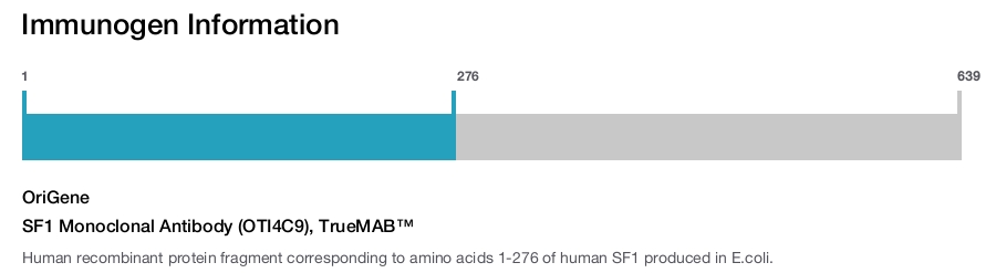 SF1 Monoclonal Antibody (OTI4C9), TrueMAB&trade;