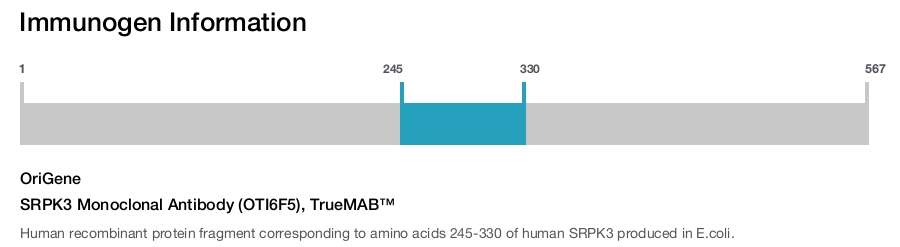 SRPK3 Monoclonal Antibody (OTI6F5), TrueMAB&trade;