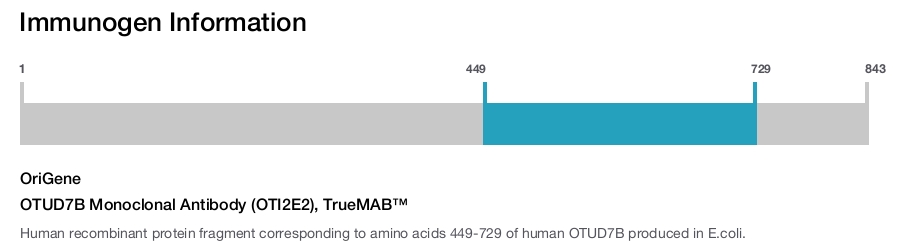 OTUD7B Monoclonal Antibody (OTI2E2), TrueMAB&trade;
