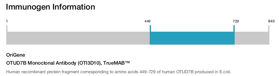 OTUD7B Monoclonal Antibody (OTI3D10), TrueMAB&trade;