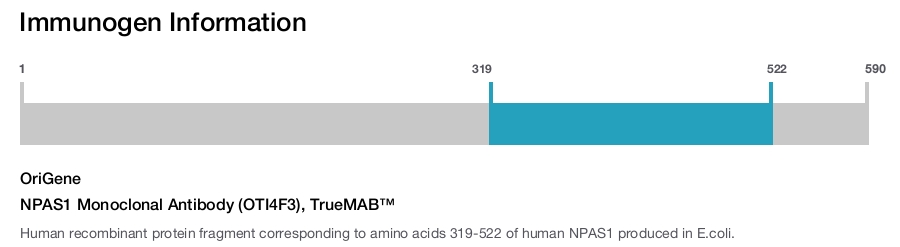 NPAS1 Monoclonal Antibody (OTI4F3), TrueMAB&trade;