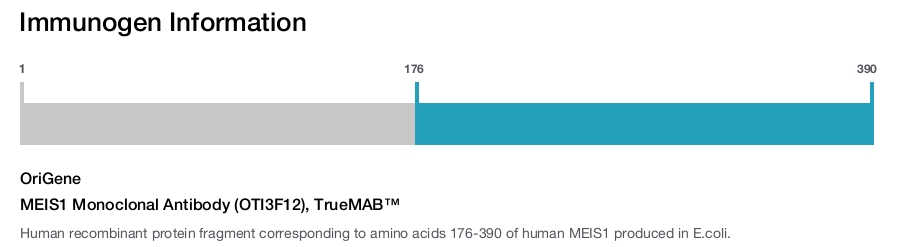 MEIS1 Monoclonal Antibody (OTI3F12), TrueMAB&trade;