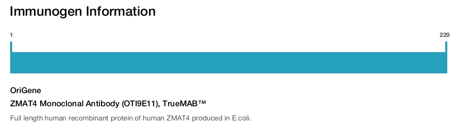 ZMAT4 Monoclonal Antibody (OTI9E11), TrueMAB&trade;