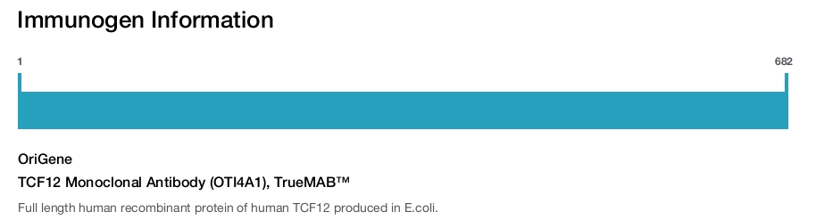 TCF12 Monoclonal Antibody (OTI4A1), TrueMAB&trade;