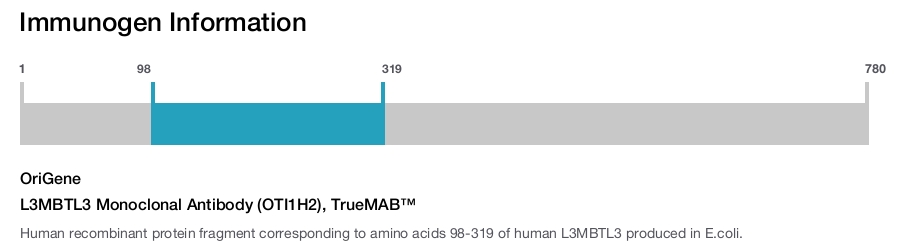 L3MBTL3 Monoclonal Antibody (OTI1H2), TrueMAB&trade;