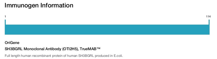 SH3BGRL Monoclonal Antibody (OTI2H5), TrueMAB&trade;