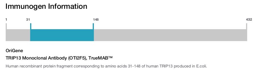 TRIP13 Monoclonal Antibody (OTI2F5), TrueMAB&trade;
