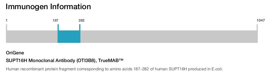 SUPT16H Monoclonal Antibody (OTI3B8), TrueMAB&trade;