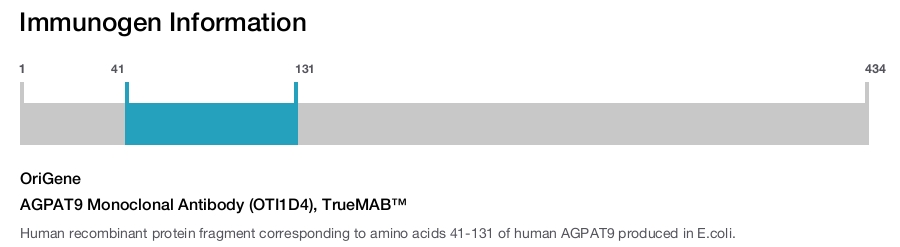 AGPAT9 Monoclonal Antibody (OTI1D4), TrueMAB&trade;