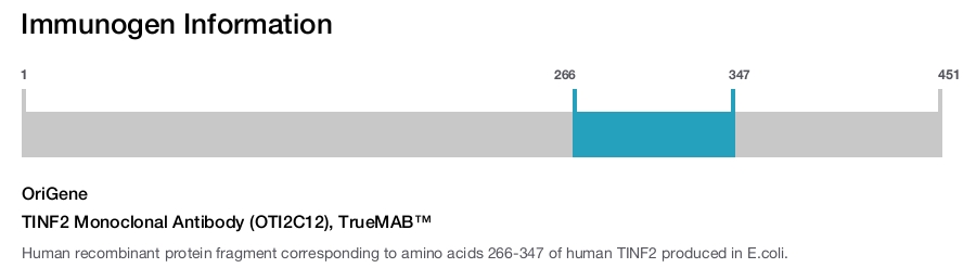 TINF2 Monoclonal Antibody (OTI2C12), TrueMAB&trade;