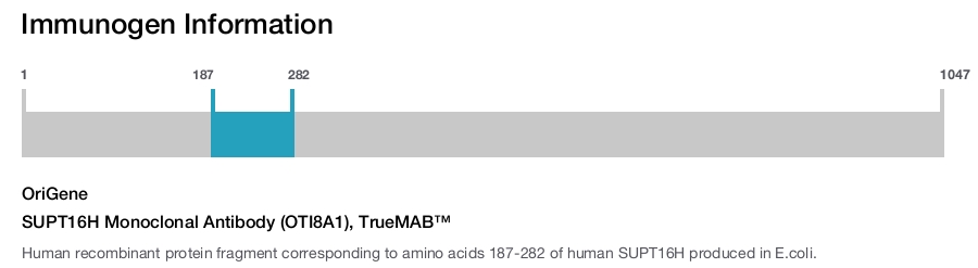 SUPT16H Monoclonal Antibody (OTI8A1), TrueMAB&trade;