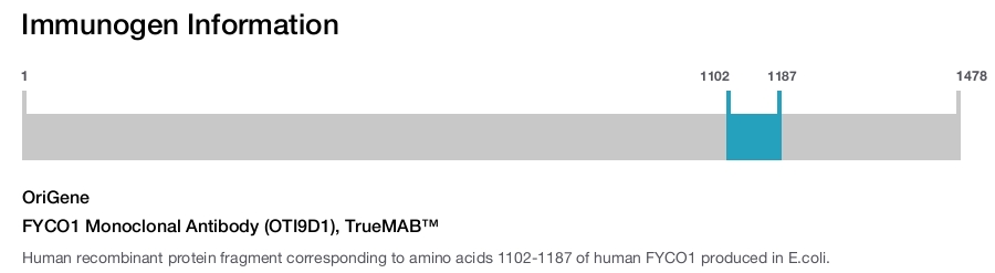 FYCO1 Monoclonal Antibody (OTI9D1), TrueMAB&trade;