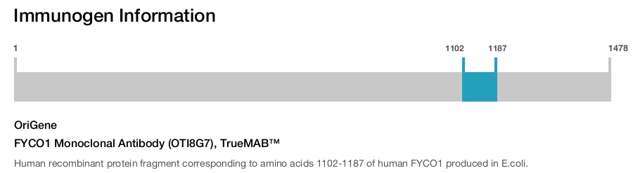 FYCO1 Monoclonal Antibody (OTI8G7), TrueMAB&trade;