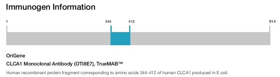 CLCA1 Monoclonal Antibody (OTI8E7), TrueMAB&trade;