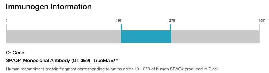 SPAG4 Monoclonal Antibody (OTI3E9), TrueMAB&trade;