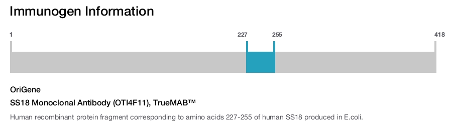 SS18 Monoclonal Antibody (OTI4F11), TrueMAB&trade;