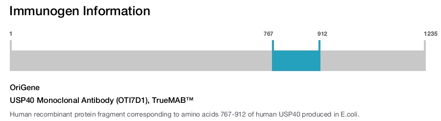 USP40 Monoclonal Antibody (OTI7D1), TrueMAB&trade;
