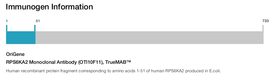 RPS6KA2 Monoclonal Antibody (OTI10F11), TrueMAB&trade;